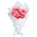 Tokyo Florist - Carnations Online Japan