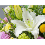 Japan Flower Shop Delivery