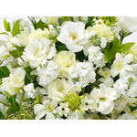 Sympathy Flowers to Japan – White Arrangement