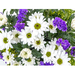 Funeral Flower Japan