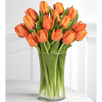 Send 12 Orange Tulips Vase Japan