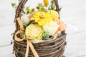Fleur Pannier Preserved Flower - Florist in Japanese
