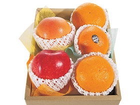 Fruit Basket Delivery Japan