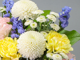 Japan Florist