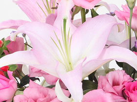 Japan Flower Shop Delivery