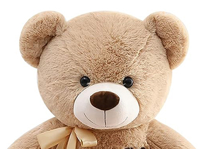 Teddy Bear Delivery Japan