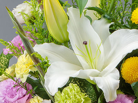 Japan Flower Shop Delivery