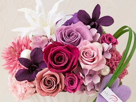 Preserved Flower Japan – Violet Preserve Flowers