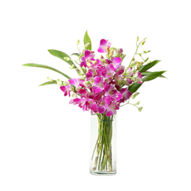 Purple Orchids Vase Tokyo, Japan