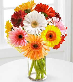 12 Multi-Color Gerbera Daisies Vase - Send Flowers Japan Online