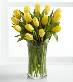 Twelve Yellow Tulips Bouquet Japan