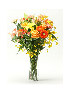 Roses, Gerberas & Carnations Delivery Japan