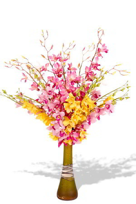 Assorted Orchids Vase Online Japan