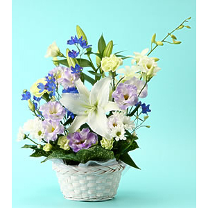 Funeral Flower Japan – Lilies Basket