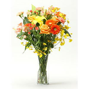 Roses, Gerberas & Carnations Delivery Japan