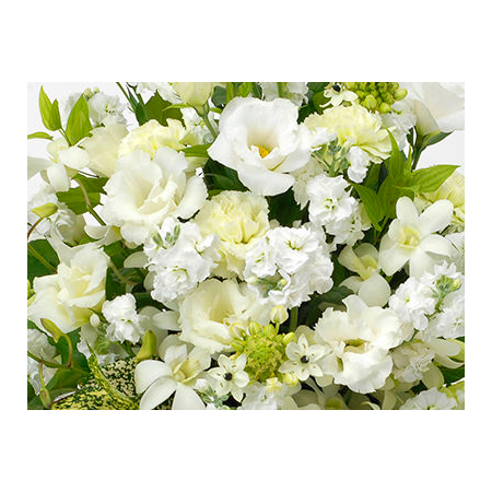 Sympathy Flowers to Japan – White Arrangement