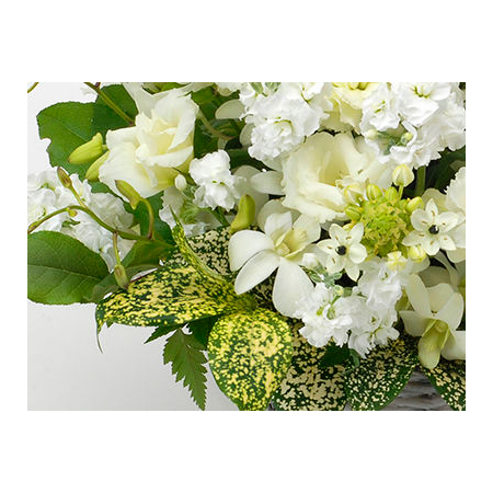 Sympathy Flowers to Japan – White Arrangement