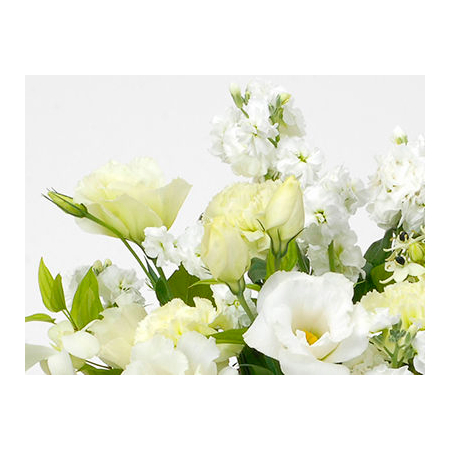 Sympathy Flowers to Japan – White Arrangement