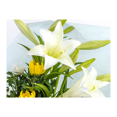 sympathy-flowers-to-japan