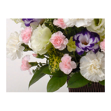 Sympathy Flowers to Japan – Funeral Flowers