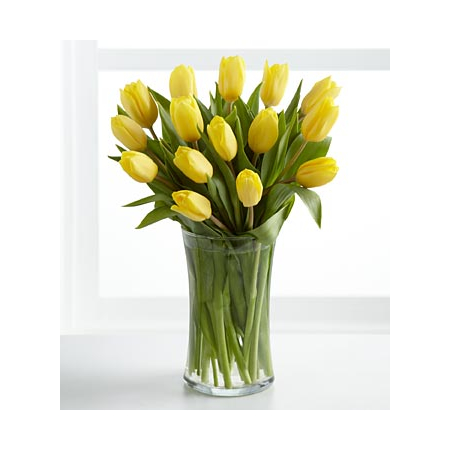 Twelve Yellow Tulips Bouquet Japan