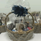 Special Gourmet Gift Basket Japan